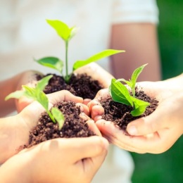 people holding plants